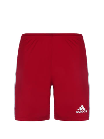 adidas Performance Trainingsshorts Squadra 21 in dunkelrot / weiß