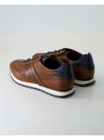 bugatti shoes Sneaker low in Braun