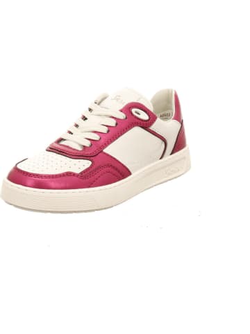 Sioux Sneaker Low in pink