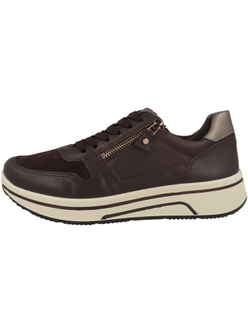 ara Sneaker low Sapporo 3.0 in bordeaux