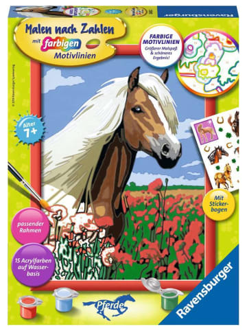 Ravensburger Malprodukte Haflinger Malen nach Zahlen Kinder 7-99 Jahre in bunt