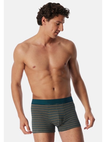 Schiesser Retro Short / Pant 95/5 Cotton in Petrol / schwarz