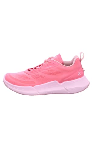 Ecco Lowtop-Sneaker in fuchsia
