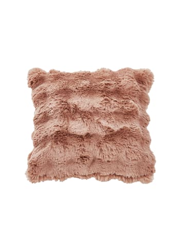 Cats Collection Kissenhülle Aura in puder