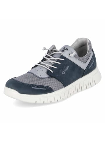 Igi&Co Low Sneaker in Blau