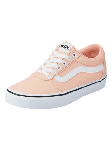 Vans Sneaker Ward in tropical peach