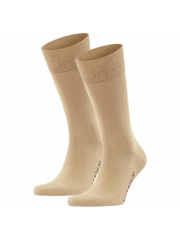 Falke Socken 2er Pack in Beige