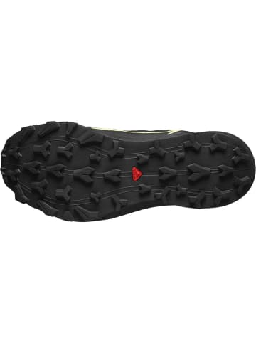 SALOMON Sicherheitsschuhe SHOES THUNDERCROSS GTX in Schwarz