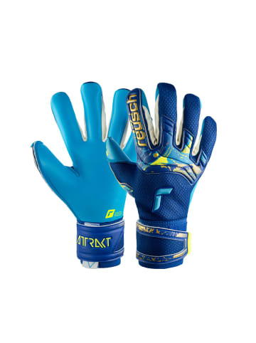 Reusch Torwarthandschuhe Attrakt Aqua in 4433 true blue / gold / aqua b