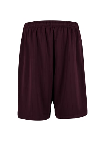 Karl Kani KK Insignia Shadow Pinstripe Soccer Shorts in Bordeaux