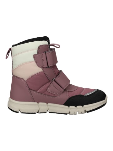 Geox Stiefelette in Rose