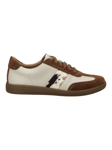 Josef Seibel Sneaker Joleen 03 in braun