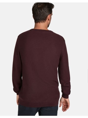 Pierre Cardin Pullover in Winetasting