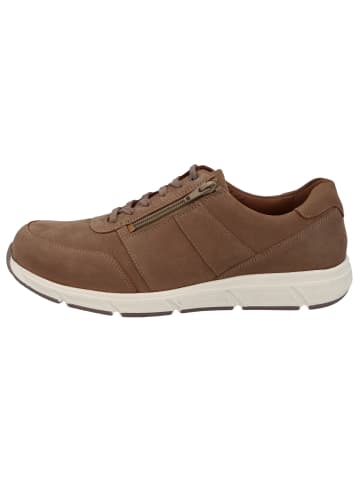 Solidus Sneaker Low in braun