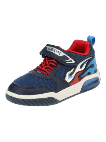 Geox Sneaker in Navy/Aqua