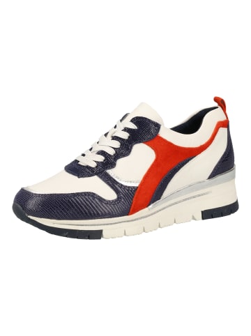 Tamaris Sneaker in Weiß/Navy