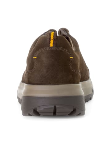 Pius Gabor Sportliche Schnürschuhe in Braun