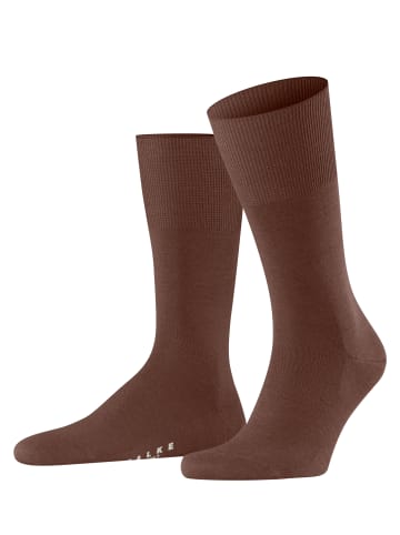 Falke Socken Airport in Brandy