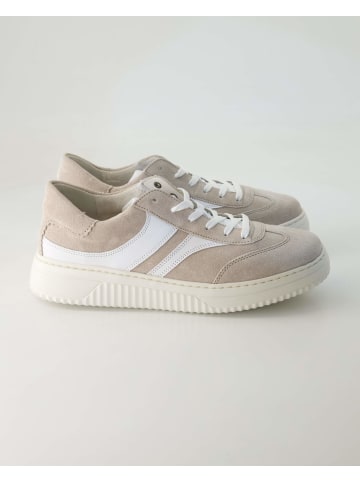 Gabor Comfort Sneaker low in Beige