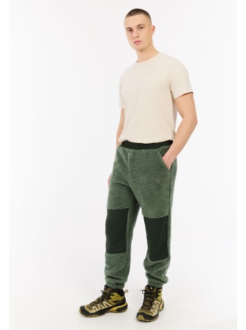 Protest " PRTRisk in Aspen green