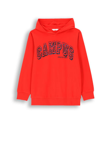 Coccodrillo Sweatshirt in rot