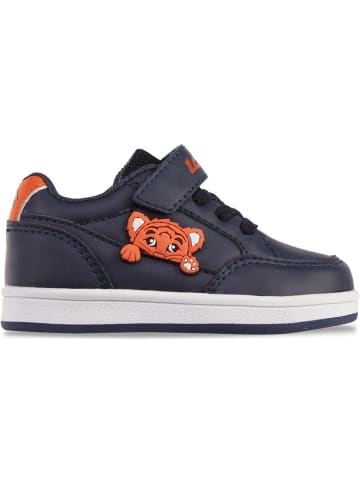 Lotto Kinder Sneaker "Animol M" in Blau