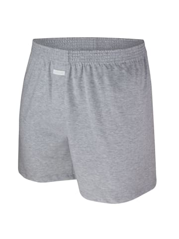 Ammann Boxershorts 2er Pack in Grau melange