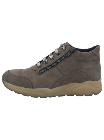 Solidus Stiefeletten/Boot in braun