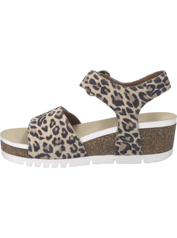 Josef Seibel Sandale Quinn 16 in beige
