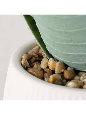 Boltze Kunstpflanze in grün