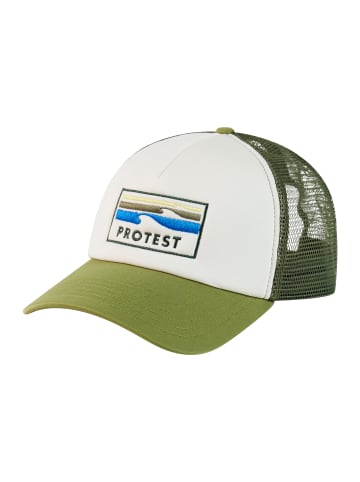 Protest " PRTTeasal in Fern Green