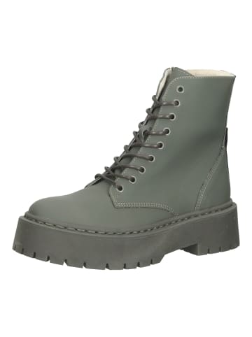 Steve Madden Stiefelette in Khaki