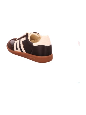 Back 70 Sneaker Low in Braun