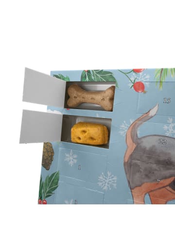 Mr. & Mrs. Panda Adventskalender Hund Basset Hound Moment mit Sp... in Eisblau
