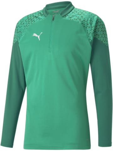 Puma T-Shirt "TeamCUP Training 1/4 Zip Top" in Grün