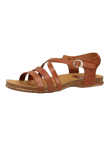 Kickers Sandalen in Braun