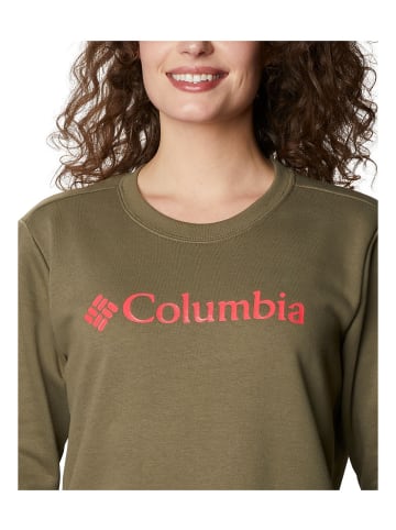 Columbia Logo Crew Hoodie in Grün