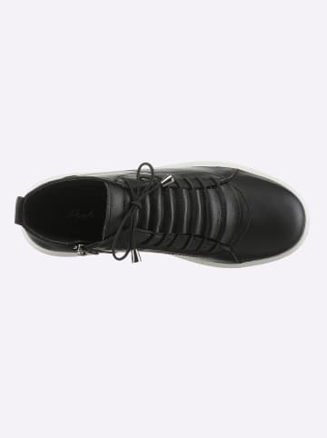 Andrea Conti Schnürstiefelette in schwarz