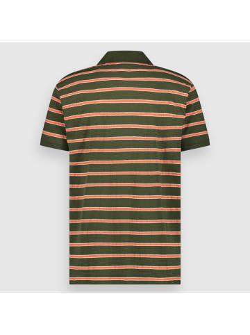 Twinlife Polo-Shirt Jacquard Stripe in Grün, mehrfarbig