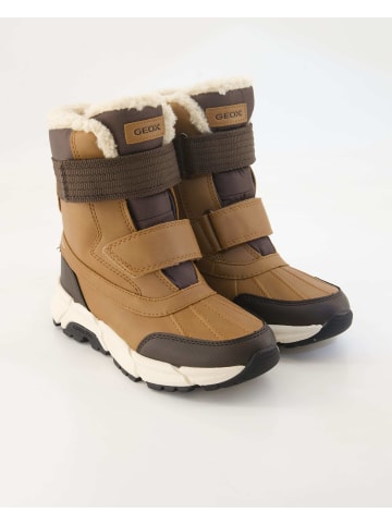 Geox Winterstiefel in Braun