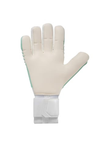 uhlsport  Torwarthandschuhe FM Absolutgrip Tight HN in weiß/mint/schwarz