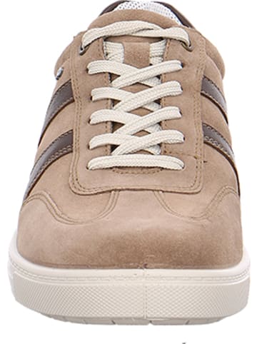 Jomos Schnürschuh in taupe