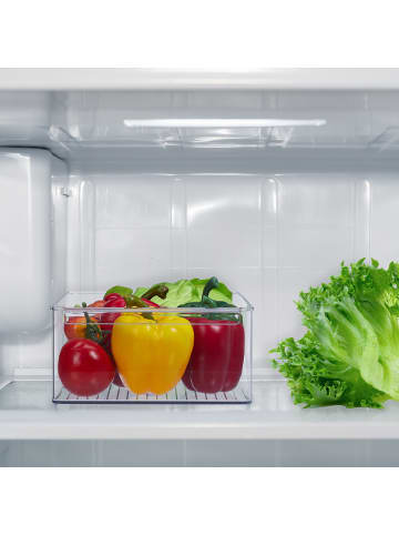 relaxdays 2 x Kühlschrank-Organizer in Transparent - (B)20,5 x (H)10 x (T)36,5 cm