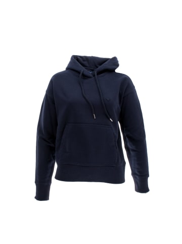 Gant Pullover in Blau