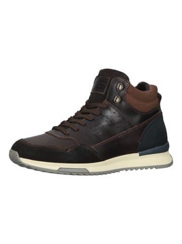 Bullboxer Sneaker in Braun