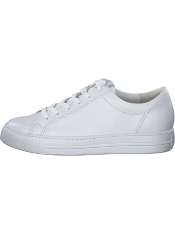 Paul Green Schnürschuhe in white