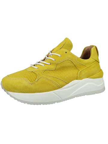 MJUS Sneaker Kinex gelb