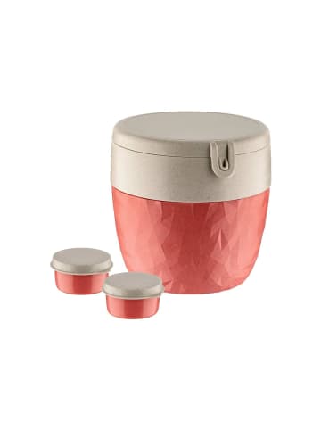 koziol Bentobox in nature coral