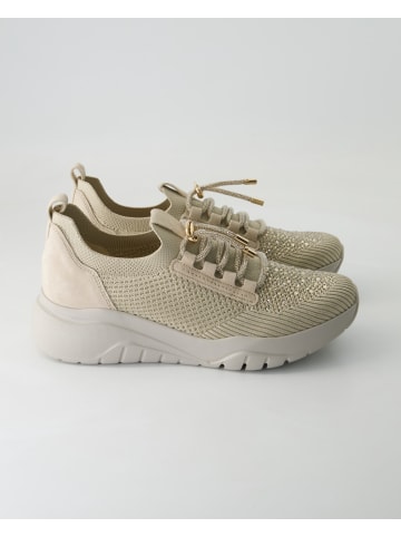 Gabor Sneaker low in Beige