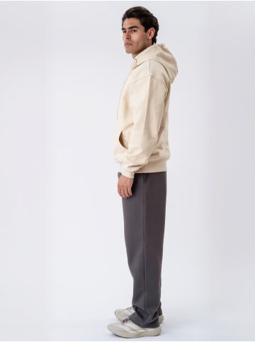 Toujours Actif Pullover Apres in Beige